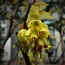 행정사제일합동사무소 이미지