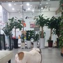 이든동물병원 이미지