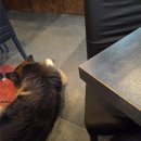 위너클래스 행복 경로당 | 온유 콘서트 &#39;온유 더 라이브 : 퍼센트&#39; 바르샤바, 베를린 후기