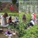 연지네농장 이미지