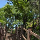 달서구청 우측 이미지