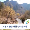 상천리 마을회관 이미지