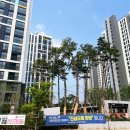 삼봉타운빌딩 이미지