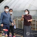 진흥농장2 이미지