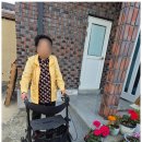 사랑으로방문요양센터 | 분당입주간병인 사랑으로 가득한 하루, 비지팅엔젤스 분당방문요양 후기