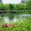 한밭수목원2 이미지