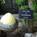 하남미가 이미지