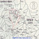 영월청과