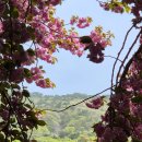 용두2공원화장실 이미지