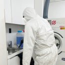 개미세탁소 이미지