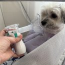 진건산소 네이버블로그