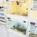 삼형제네 야채과일 | 서수원 실내 동물원 수달앤쥬｜조카 방학에 데려가 본 솔직 후기 (간식체험 있음)