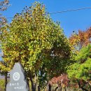 순흥우체국 이미지