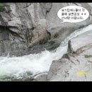 팔공산 동산계곡 이미지