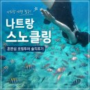참재미투어주식회사 | 나트랑 스노쿨링, 혼문섬 호핑투어 추천 비용 준비물 솔직후기