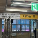 안나리숯불개구리