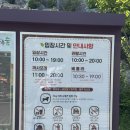 커피나무숲 - 전주시 덕진구 팔복로 217 | 용인가볼만한곳 용인자작나무숲 수국축제 방문후기