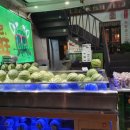담배복고다방