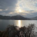 명월이네 | 제천 명월이네(애견카페,애견운동장)