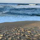 댕겨와유 이미지