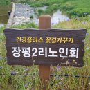 느므즈므 이미지