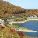 (주)무학항공여행사