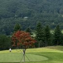 오크밸리 드라이빙레인지 이미지