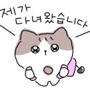 뷰티앤리 이미지