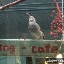 진진공인중개사사무소 이미지