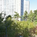 원봉근린공원 이미지