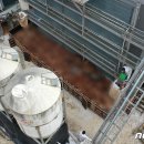 조태형농장 이미지