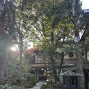 1243 | 유후인 전통 료칸 무소엔 가족여행 추천