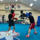 성남권투체육관 이미지