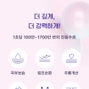 에스텔라