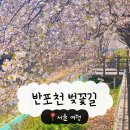 한산공원 한재터널 위 | 반포천 벚꽃길 2026 서울 벚꽃명소 추천