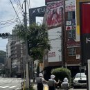 뽑아부러 | 퇴사 후 무작정 떠난 나의 첫 일본, 첫 혼여행, 후쿠오카.