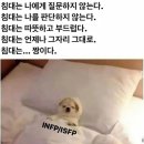 침대의 장점 (INFP/ISFP) 이미지