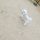 멍스타그램 이미지