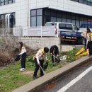 태강삼육 이미지