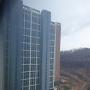 구래동 6877-5 | 퓨어 음식물분쇄기 오산 화성 동탄 천안 의정부 세종 김포 인천 설치후기 (갈갈이 음식물처리기) 가격문의