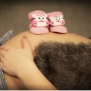 편백 힐링 안마원 이미지