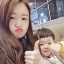썬울타리 이미지