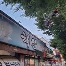 해신활어직판장 | [쌍촌동]해신활어직판장, 광주 참돔 유비끼 전문점