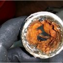 동산삼호 이미지