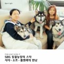 SBSSPORT 이미지