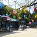 명성건강원 이미지