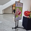 경주예술의전당 | 대구 티비 렌탈 경주 예술의 전당 후기