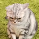 지움 어린이집 이미지