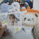 글로벌팜코리아(주) | [덕질] 엔시티위시 굿즈에만 1억쓴 후기+일본 앨범 WISHLIST 테이프 후기+일본 멤버십 키트 도착 후기