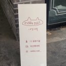 이쁘냥 고양이미용실 대전점 | 대전 원신흥동 네일샵 당일예약 가능한 '내꼬네일' 솔직 후기
